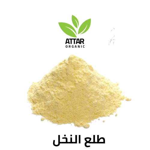 طلع النخل طبيعي 100% عطار اورجنك